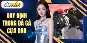 Quy Định Trong Đá Gà Cựa Dao