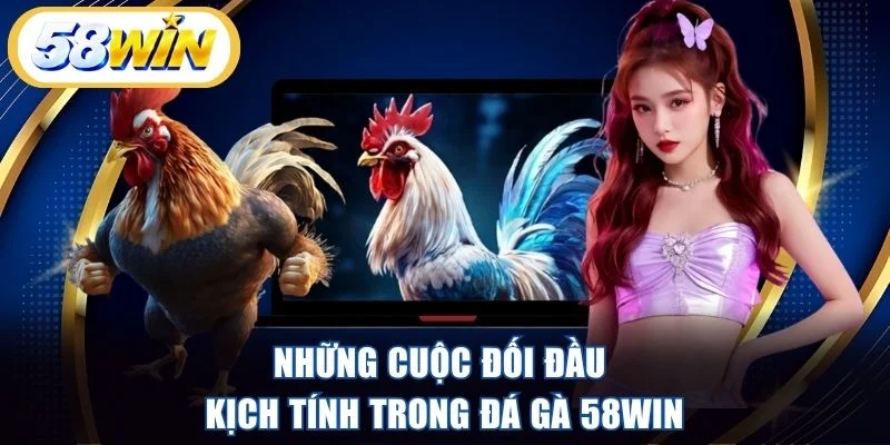 Những cuộc đối đầu kịch tính trong đá gà 58WIN