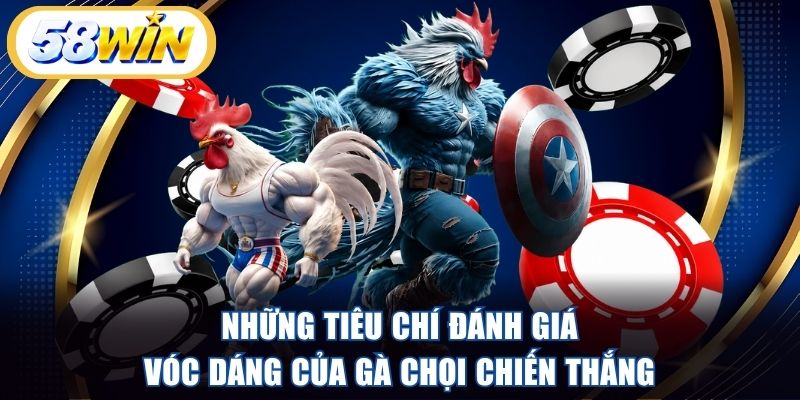 Những tiêu chí đánh giá vóc dáng của gà chọi chiến thắng